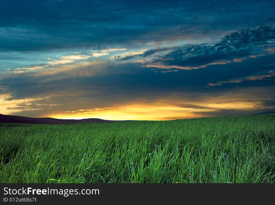 Green field and blue sky with thunder-clouds on it. Green field and blue sky with thunder-clouds on it