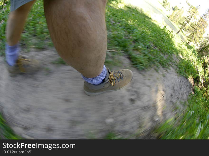 Hiking Through Forest