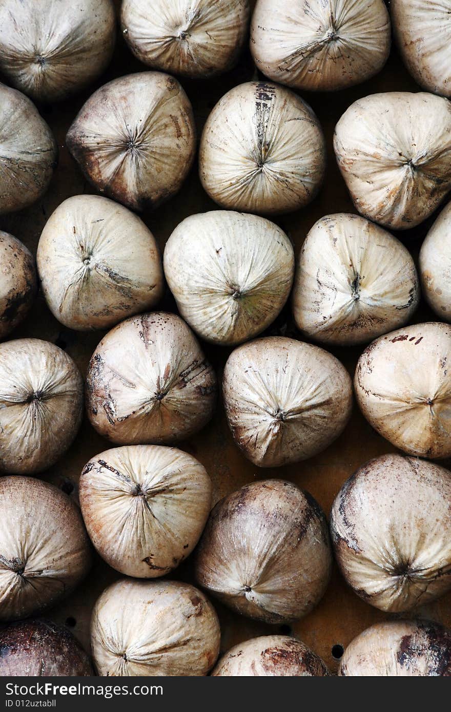 Close-up image of coconuts at a plantation in Thailand.