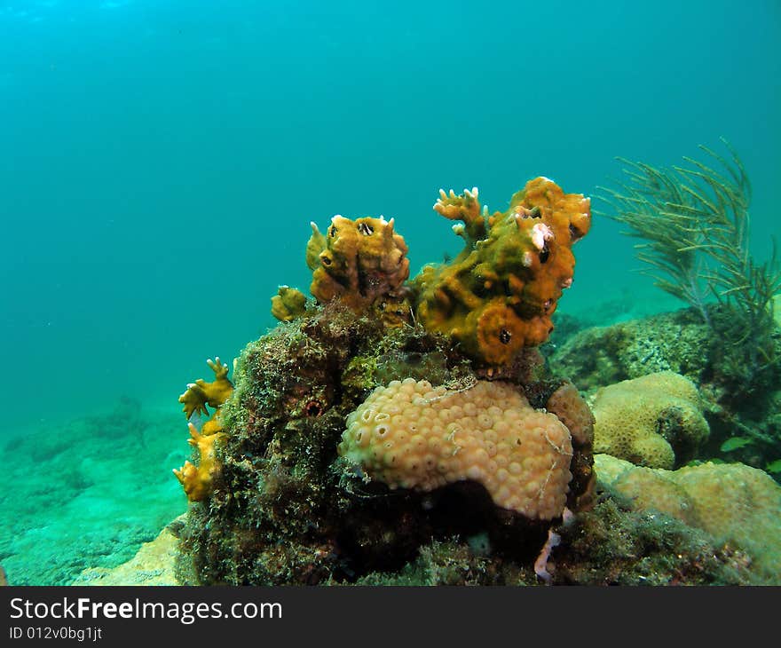 This image was taken at 12th street in Ft lauderdale, Florida right off the beach. This image was taken at 12th street in Ft lauderdale, Florida right off the beach.