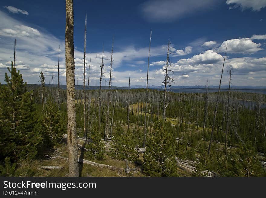 Nice Mountain Landscape in Yellowstone