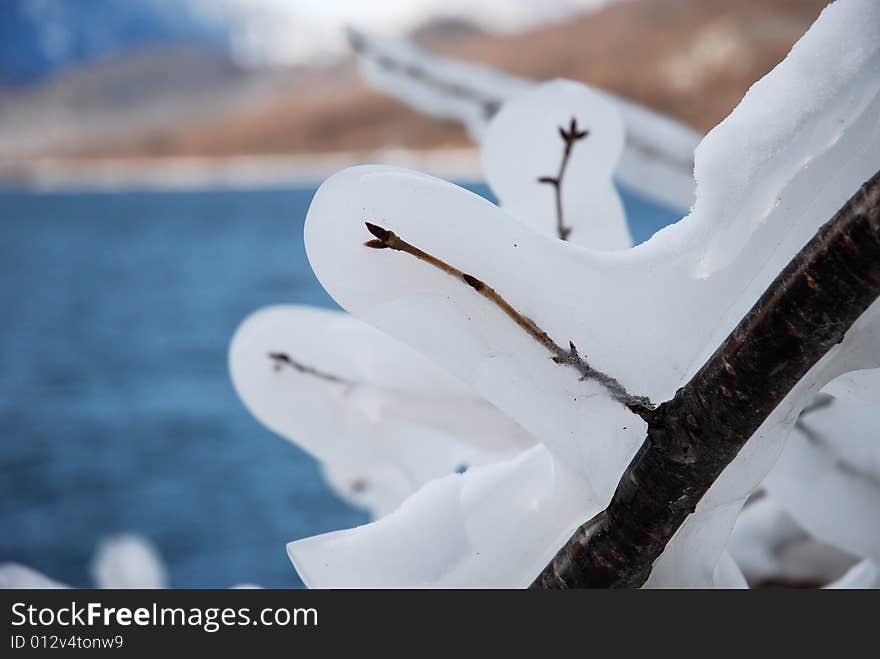 Icicle