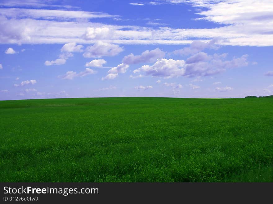 Summer Landscape