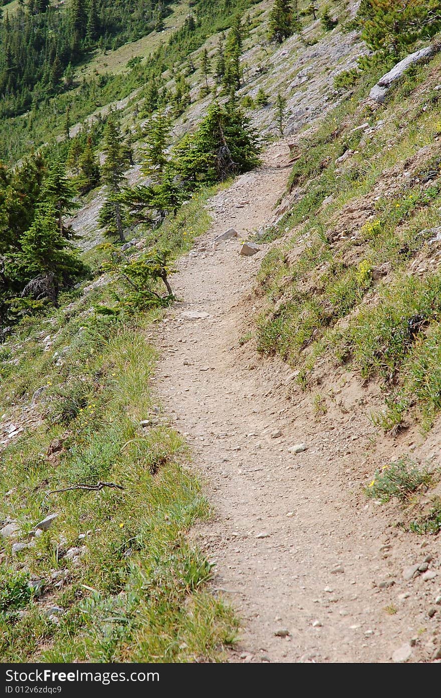 Hiking Trail In Rocky Mountains