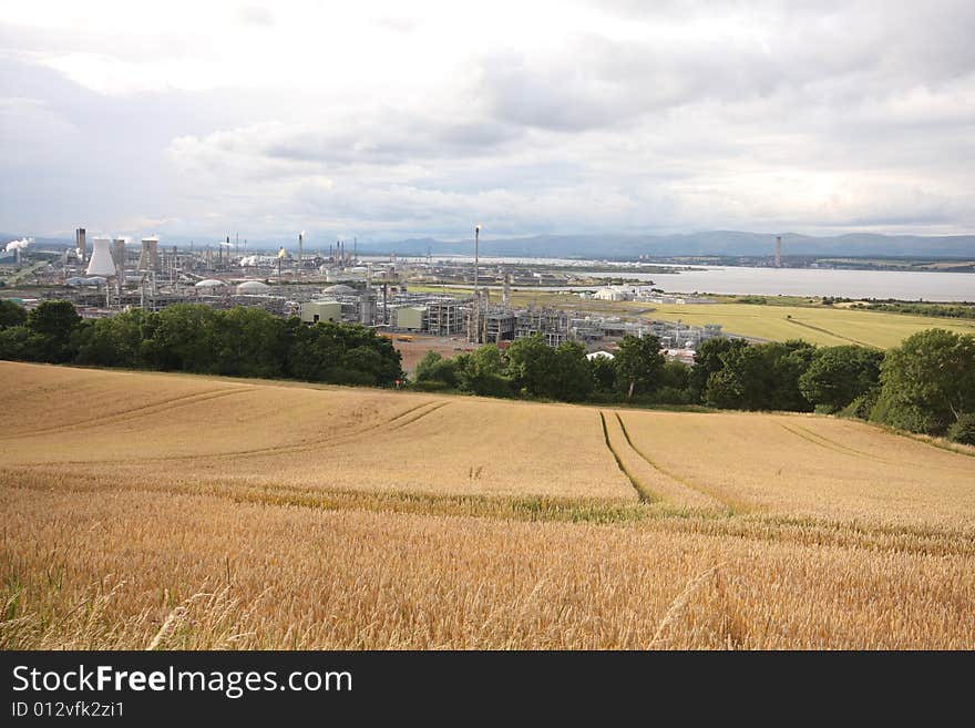 Wheat field