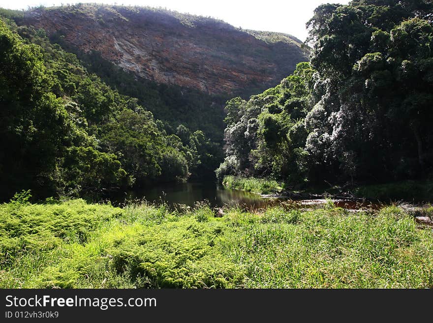 Nature's valley view the forest before the sea. Nature's valley view the forest before the sea