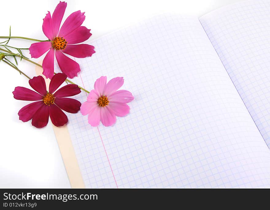 Red and pink fresh flowers lay on a writing-book. Red and pink fresh flowers lay on a writing-book.