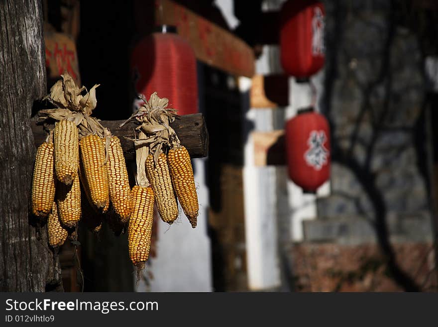 Drying corn star hanging on the door