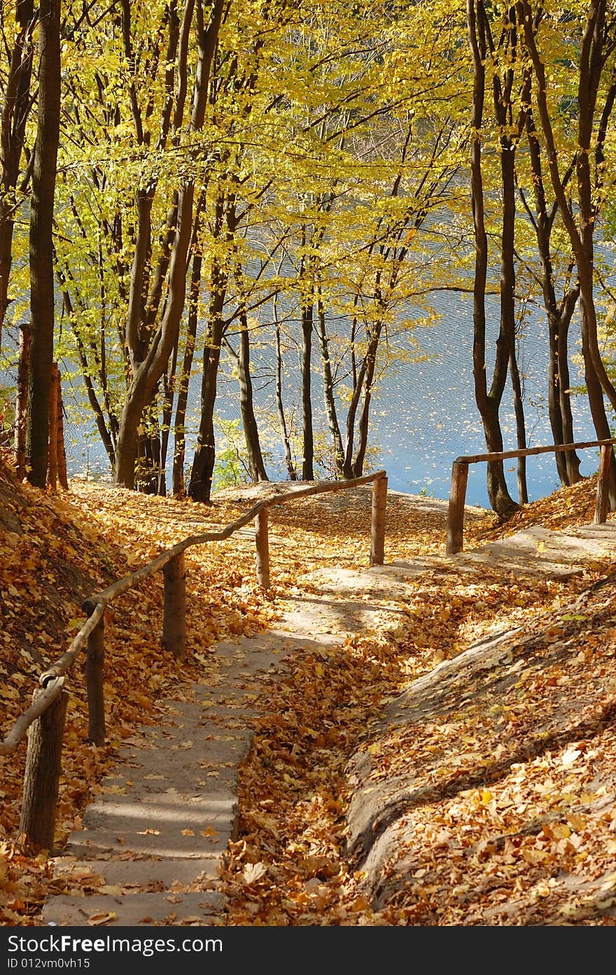 Path downward to the river in an autumn park