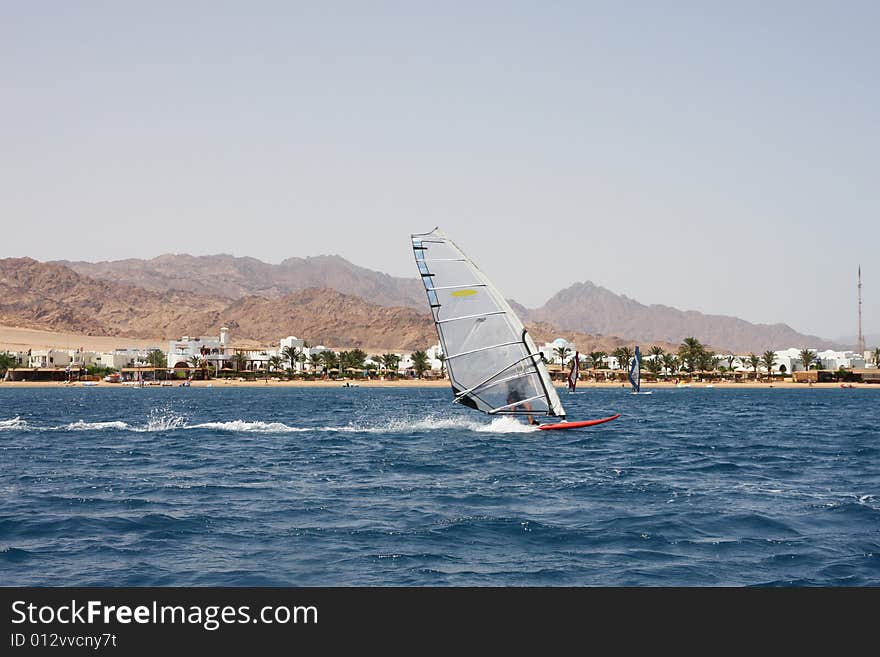 Windsurfing in Egypt