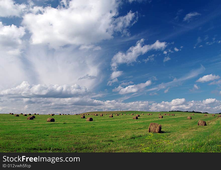 Sheaves of hay on a green floor under the blue sky. Sheaves of hay on a green floor under the blue sky