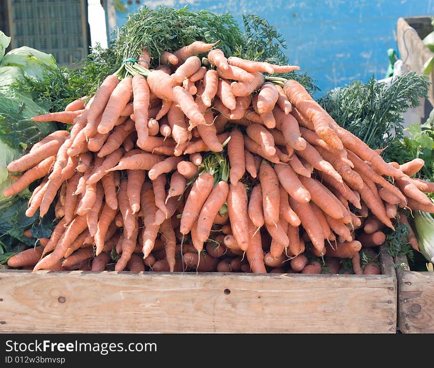 Carrots close up