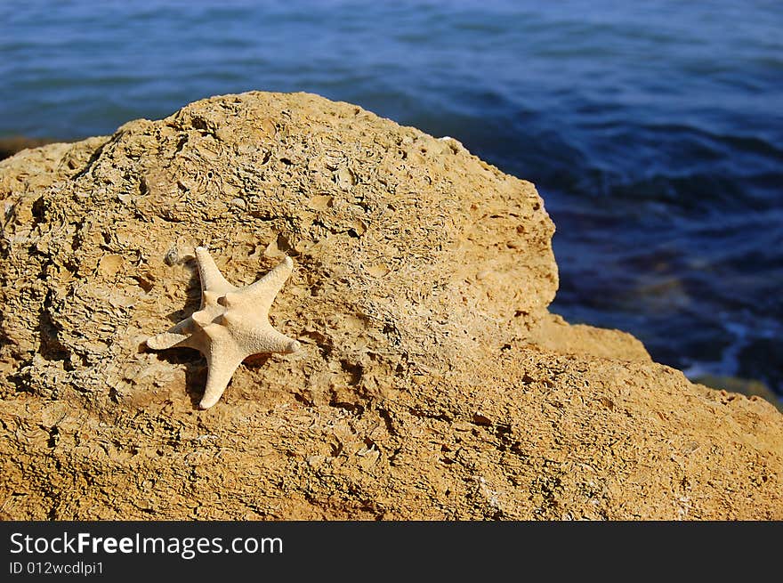 Starfish