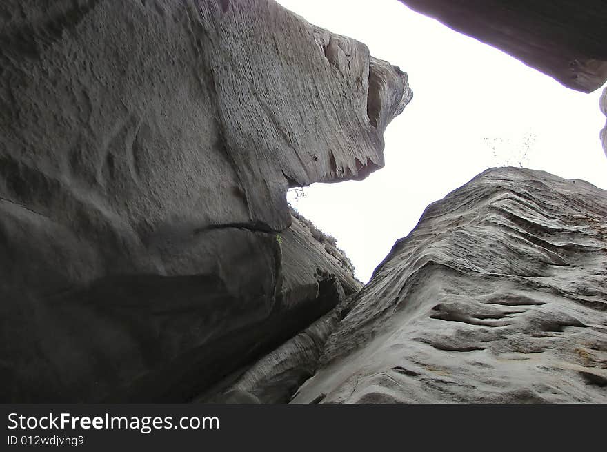 Nature and rock in the stone city