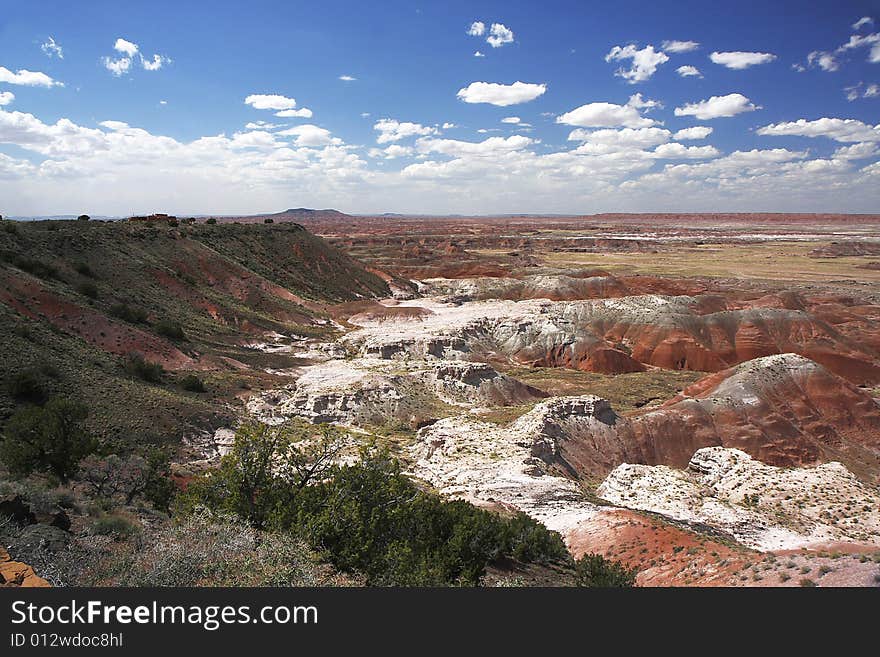 Painting Desert At  Petrified Forest NP