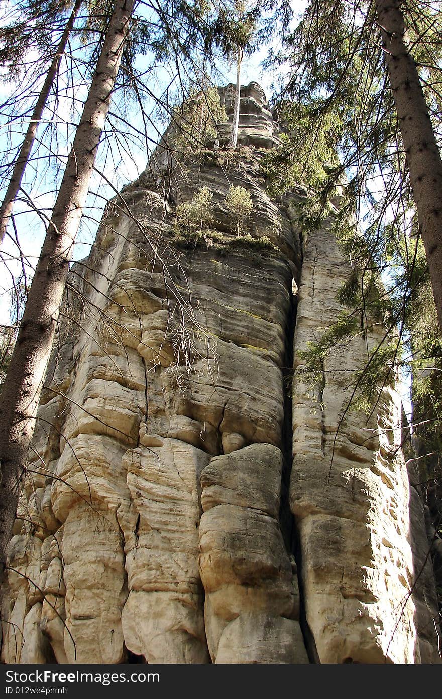 Nature and rock in the stone city