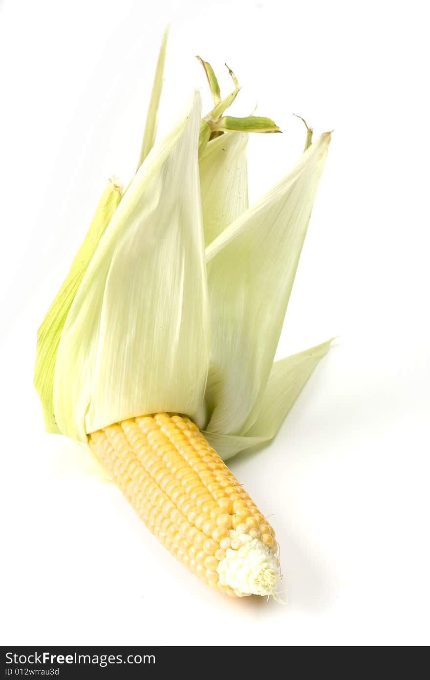 Detail of a fresh corn cob on white background