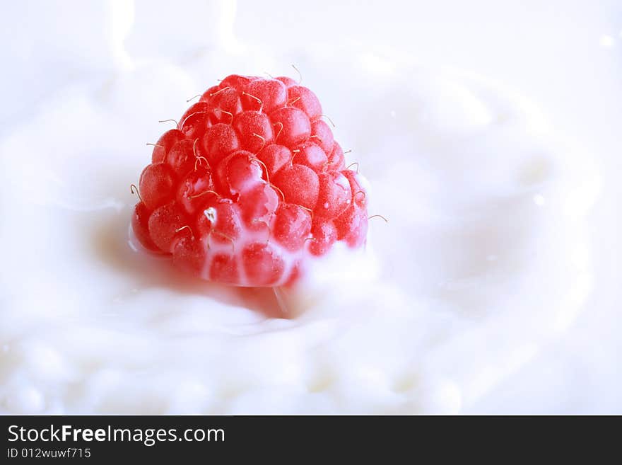 Fresh red raspberry splashing in milk, fantastic concept of freshness. Fresh red raspberry splashing in milk, fantastic concept of freshness