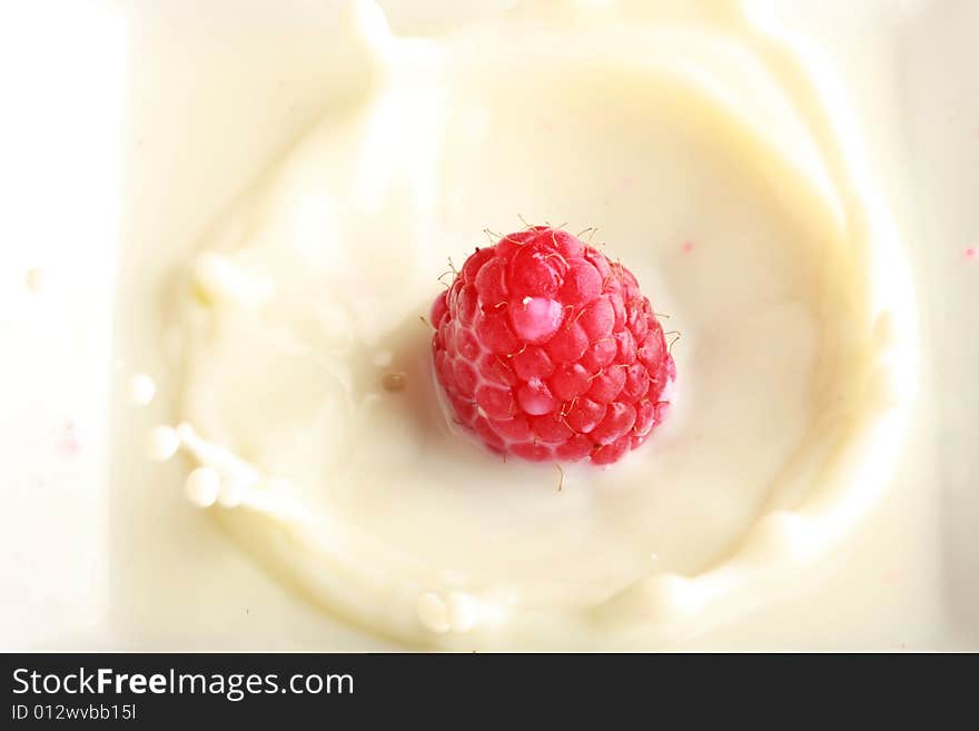 Red raspberry splashing in milk