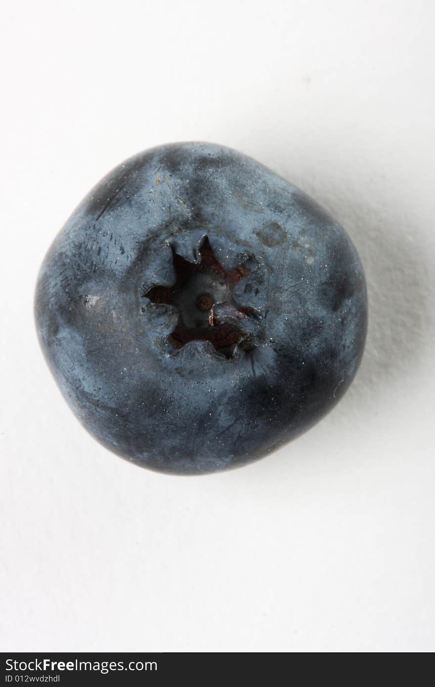 Blueberry Macro