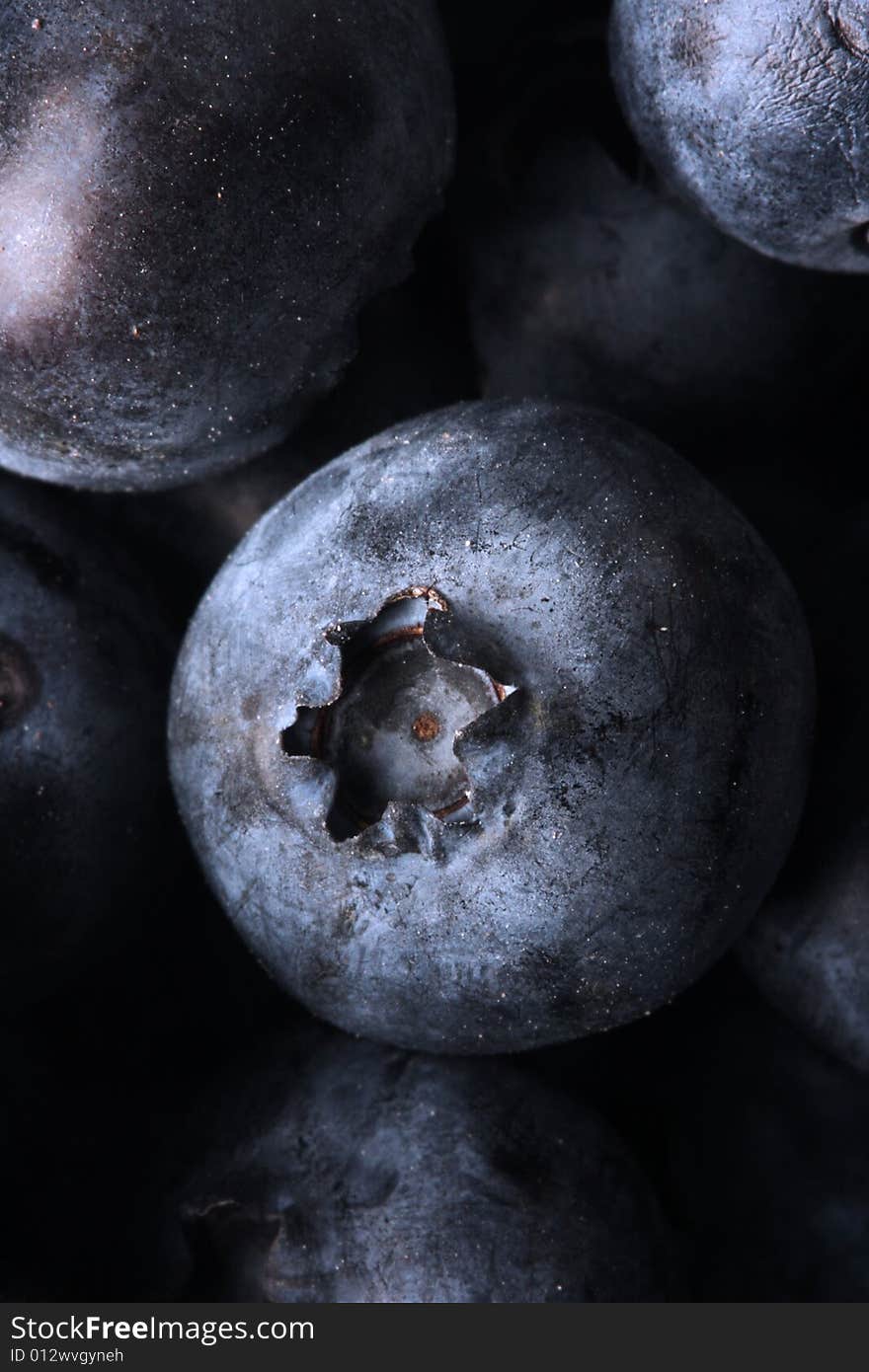 Bunch of wild blueberries shot with macro lens, good fruit background. Bunch of wild blueberries shot with macro lens, good fruit background