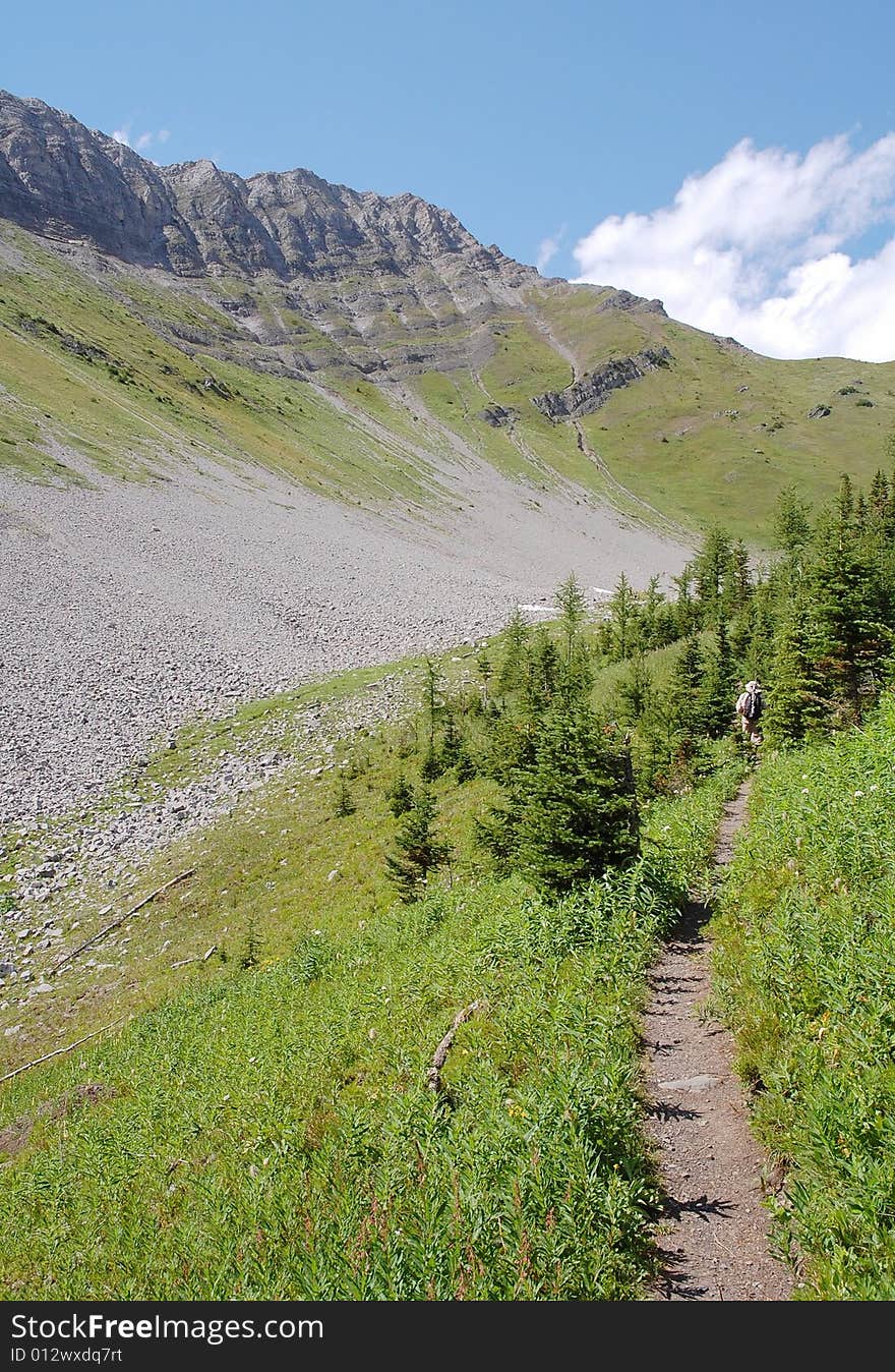 Alpine trail on mountains indefatigable, kananaskis country, alberta, canada