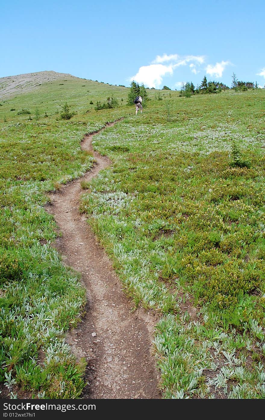 Hiking trail to the summit of mountain indefatigable, kananaskis, alberta, canada. Hiking trail to the summit of mountain indefatigable, kananaskis, alberta, canada