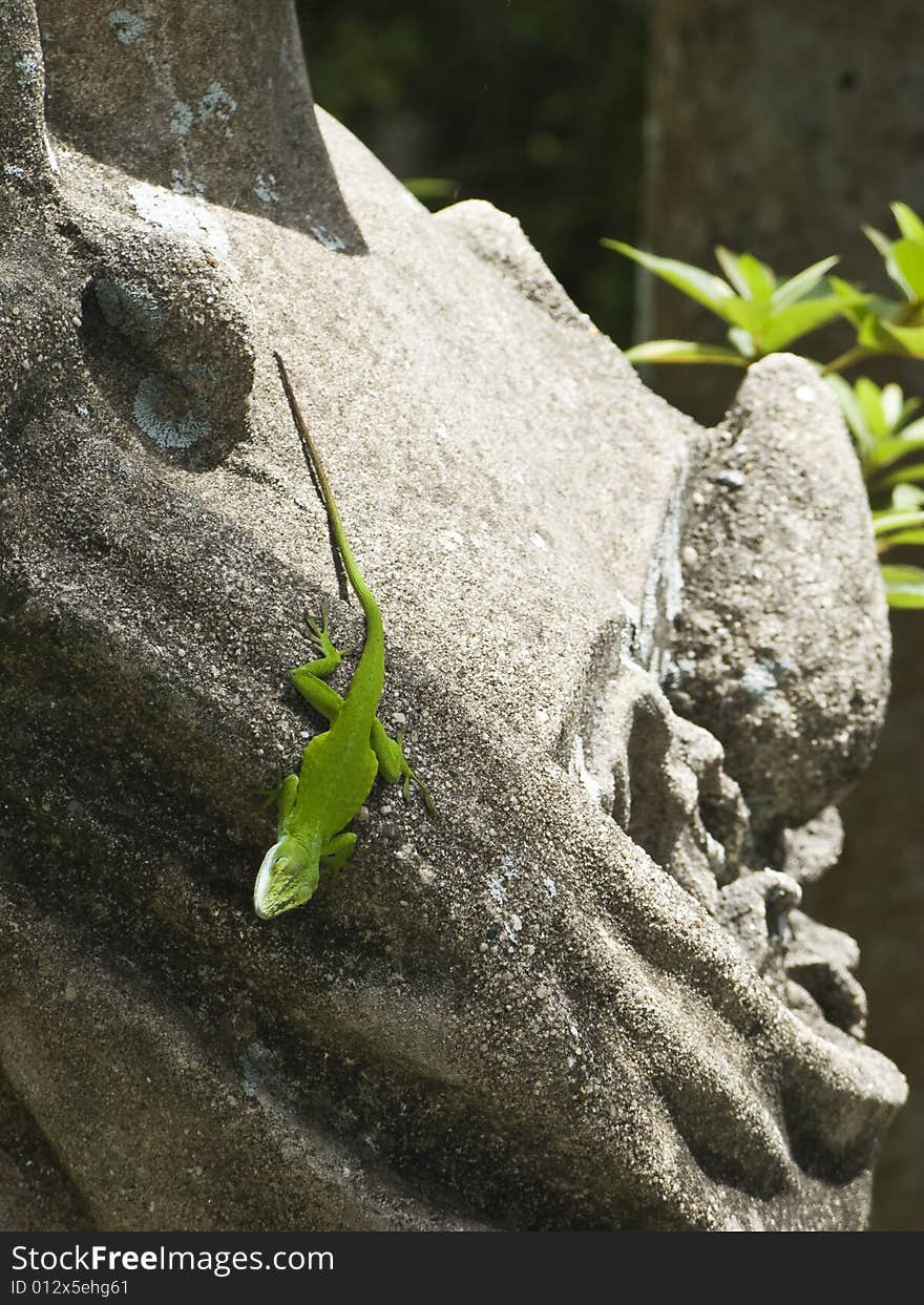 Lizard on concrete statue