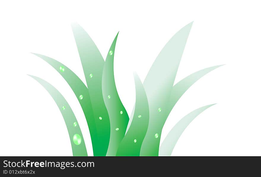 Green grass with dew, vector illustration