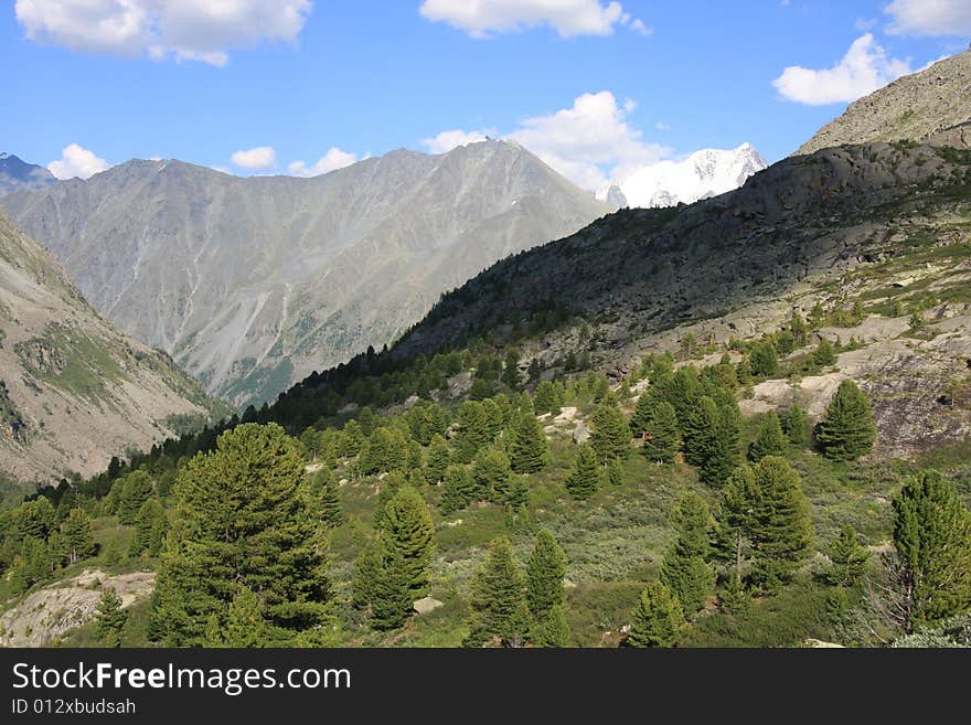 Altai Mountain in summer