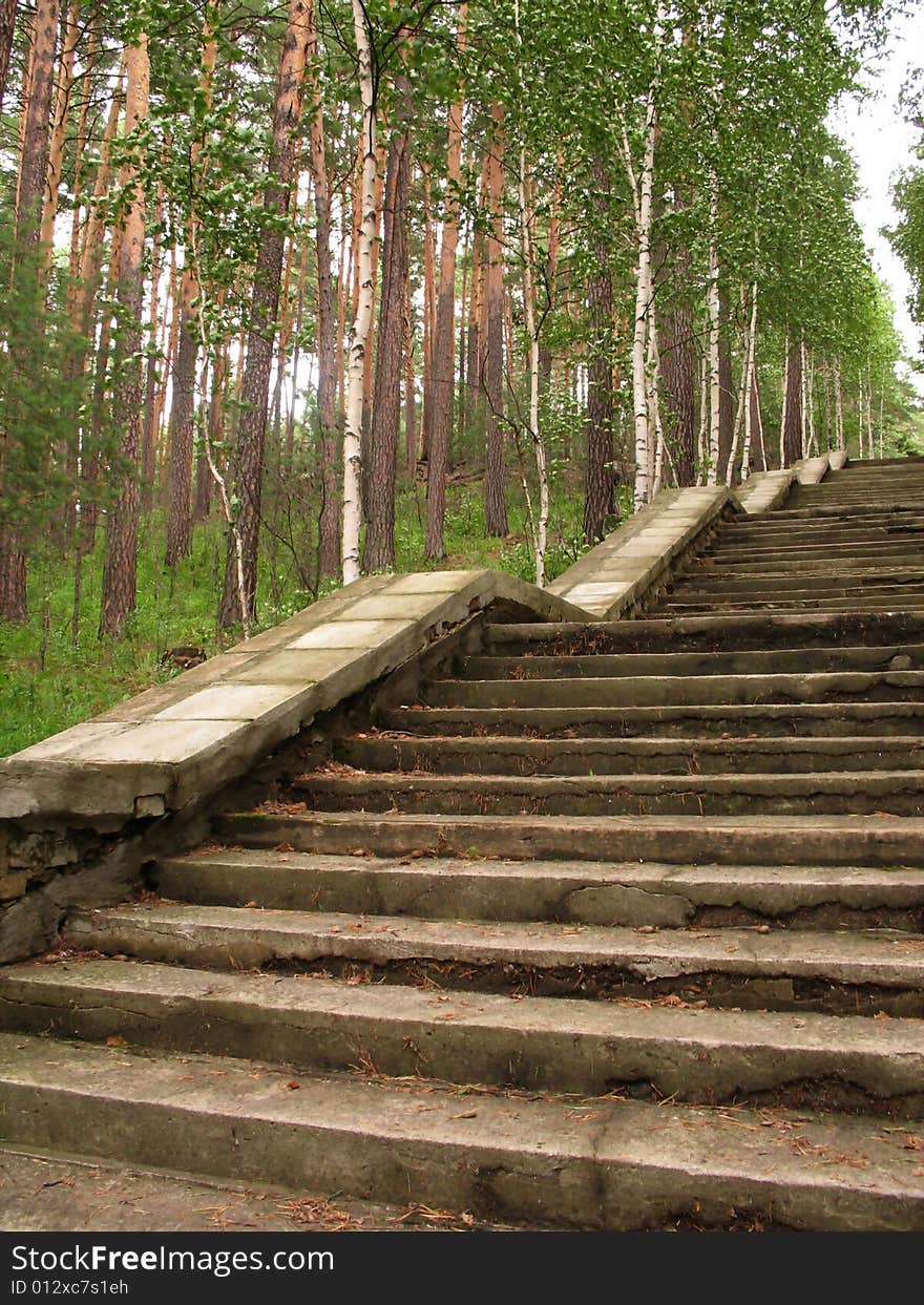 A staie leads to up around summer forest. A staie leads to up around summer forest.