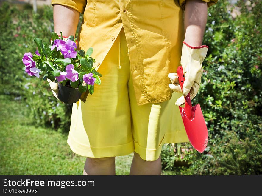 Cropped view of senior woman holding flower pot in garden. Cropped view of senior woman holding flower pot in garden