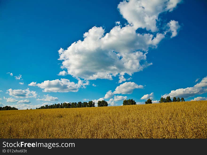 Clouds And Field