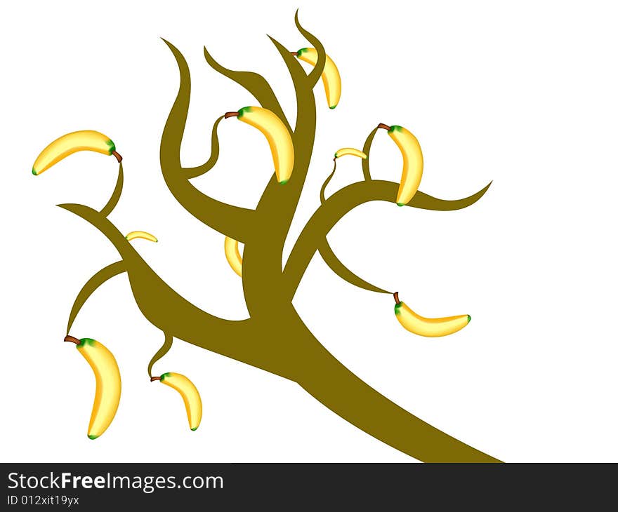 Abstract banana tree, vector illustration