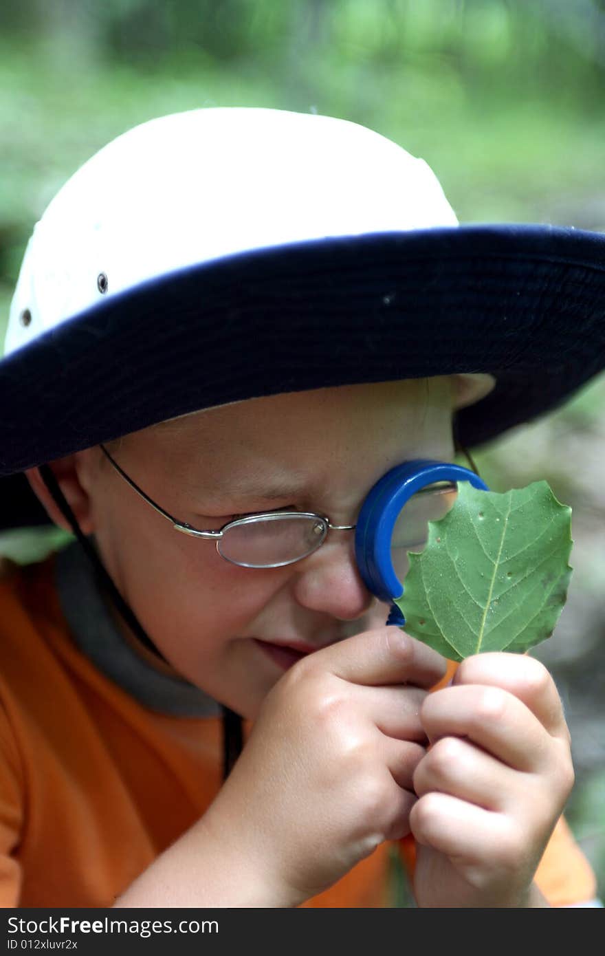 Young boy studying leaf