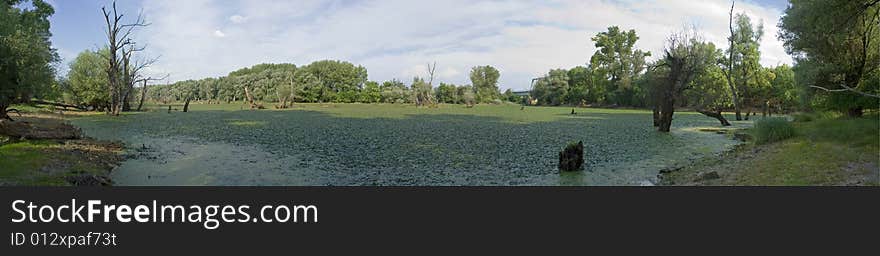 Nice old swamp panorama and sky. Nice old swamp panorama and sky.