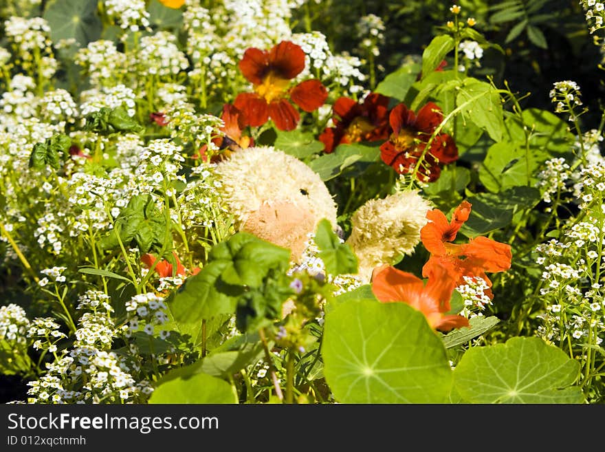 Toy Duck In Flowers