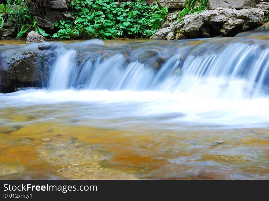 Small river and green grass in park