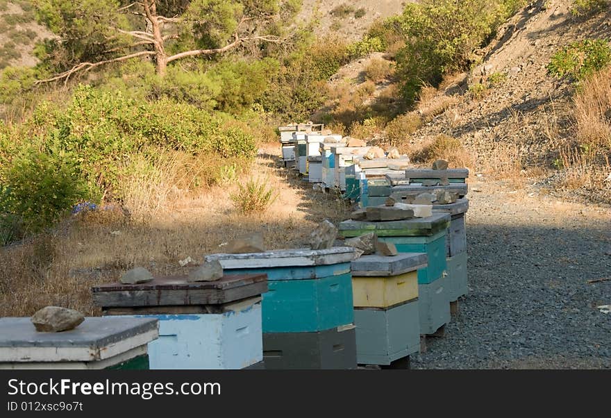 Bee house