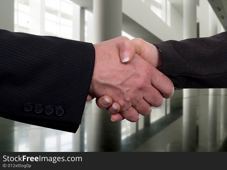 Businesmr and businesswomen shaking hands. Businesmr and businesswomen shaking hands