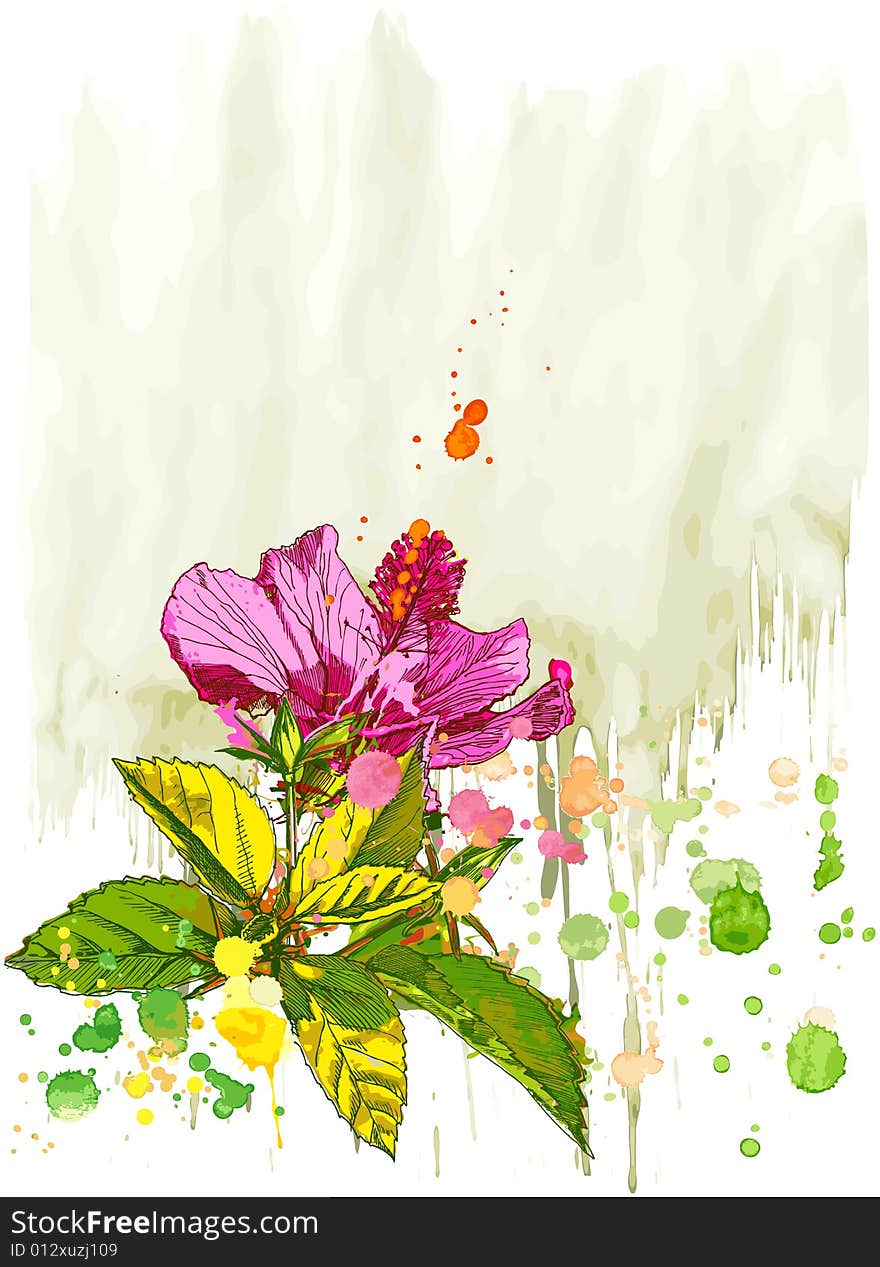 Hibiscus flower and watercolor background. Hibiscus flower and watercolor background