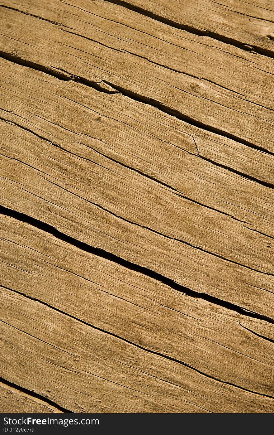 Weathered, old and bare wood texture, vertical. Weathered, old and bare wood texture, vertical