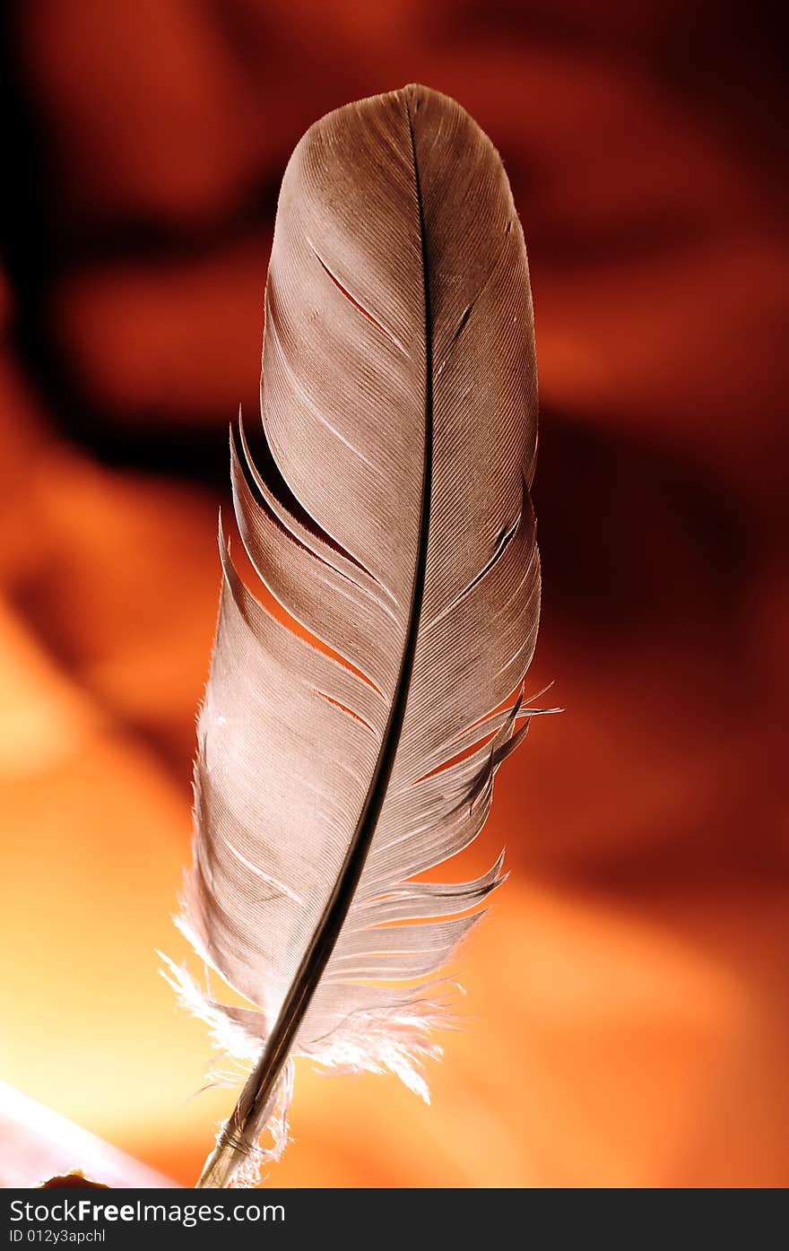 Feather