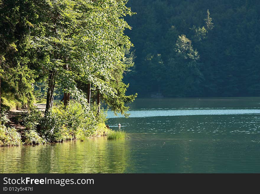 A Beautiful Day At The Hechtsee