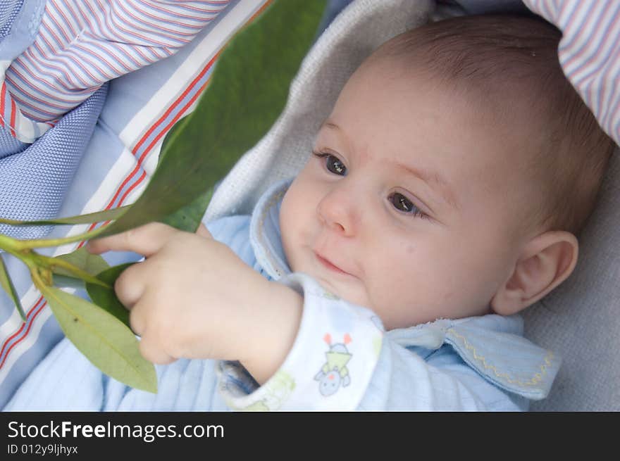 Baby touching leaves