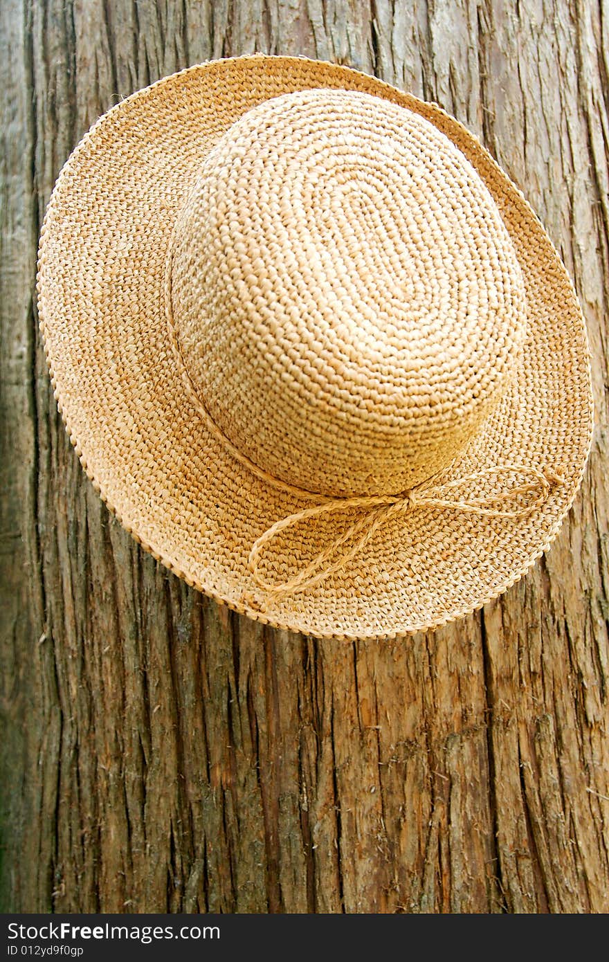 Women's straw raffia hat hanging on tree. Women's straw raffia hat hanging on tree