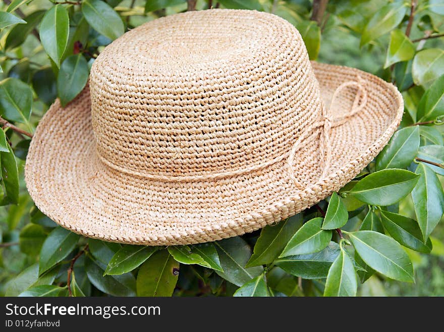 Straw hat on tree