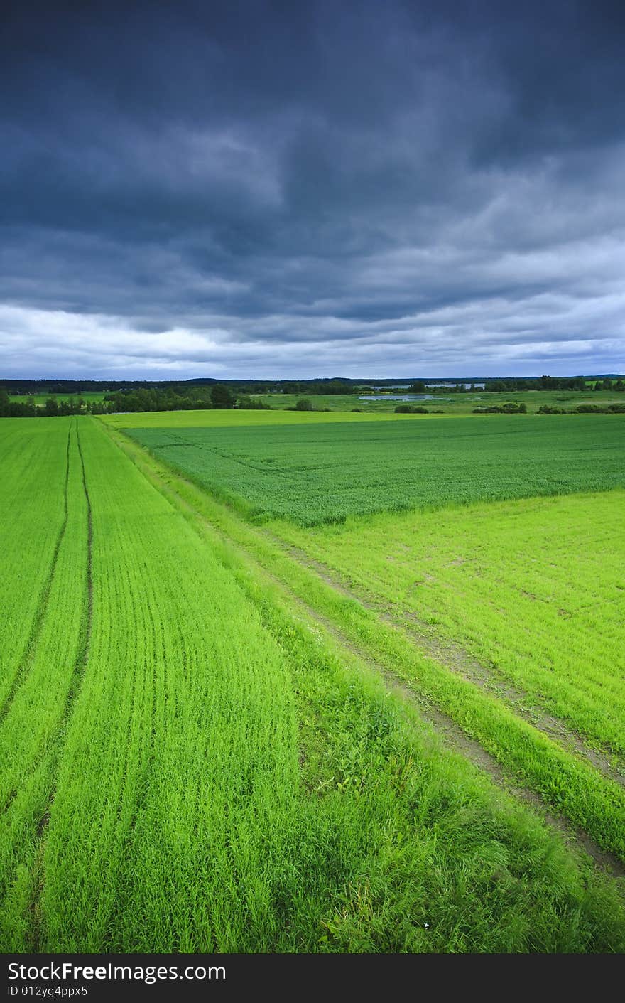 Summer field landscape shot from above