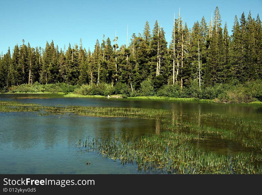 View of lake  in california mountains. View of lake  in california mountains