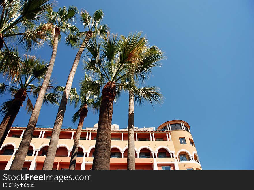 Hotel with palmtrees in the french city Cannes